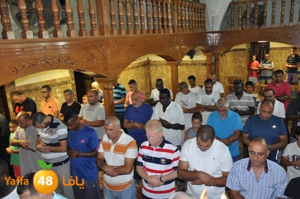 trawe7 mahmodiya 713 (25).JPG